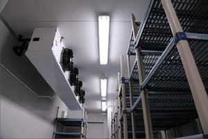 Complete Cold Room Maintenance Guide for Restaurants and Hotels